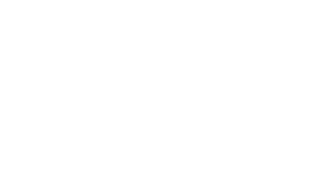 Puma Safety