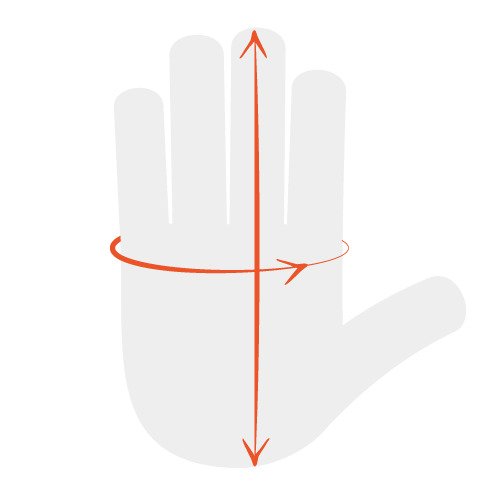 hand measurement image showing palm circumference and hand length